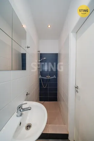 Pronájem bytu 1+kk, Ostrava, Francouzská, 21 m2