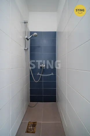 Pronájem bytu 1+kk, Ostrava, Francouzská, 21 m2