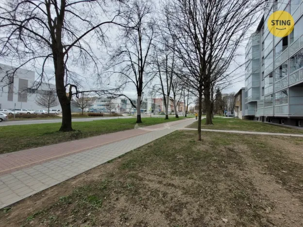 Pronájem bytu 1+kk, Ostrava, Francouzská, 21 m2