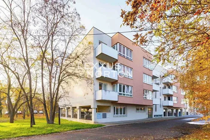 Prodej bytu 2+kk, Praha - Žižkov, U staré cihelny, 61 m2
