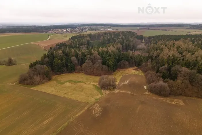 Prodej louky, Niva, 7301 m2