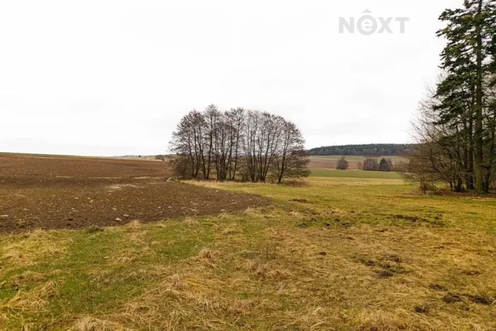 Prodej louky, Niva, 7301 m2