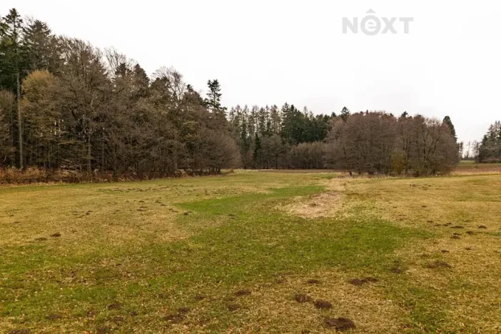 Prodej louky, Niva, 7301 m2