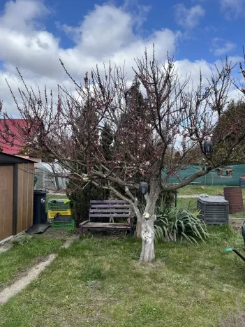 Prodej chaty, Bílina, Mládežnická, 30 m2