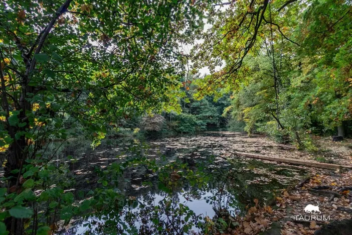 Prodej pozemku pro bydlení, Velký Chlumec, okres beroun, 1355 m2