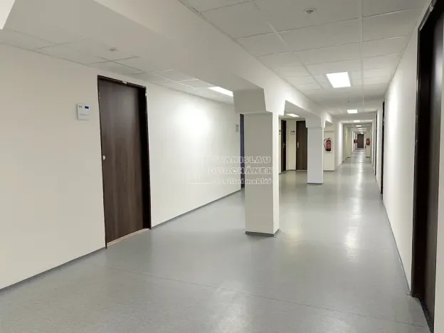 Pronájem kanceláře, Praha - Karlín, Thámova, 17 m2