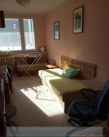 Pronájem pokoje, Praha - Žižkov, Olšanské náměstí, 15 m2