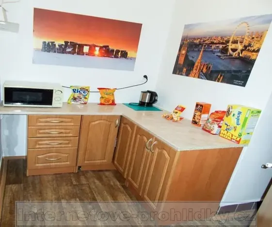 Pronájem pokoje, Praha - Vršovice, Vršovická, 20 m2