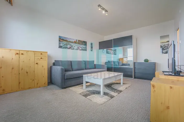 Pronájem bytu 1+1, Ostrava, Resslova, 29 m2