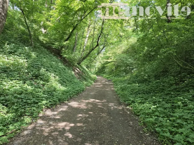 Prodej chaty, Benátky nad Jizerou, 24 m2