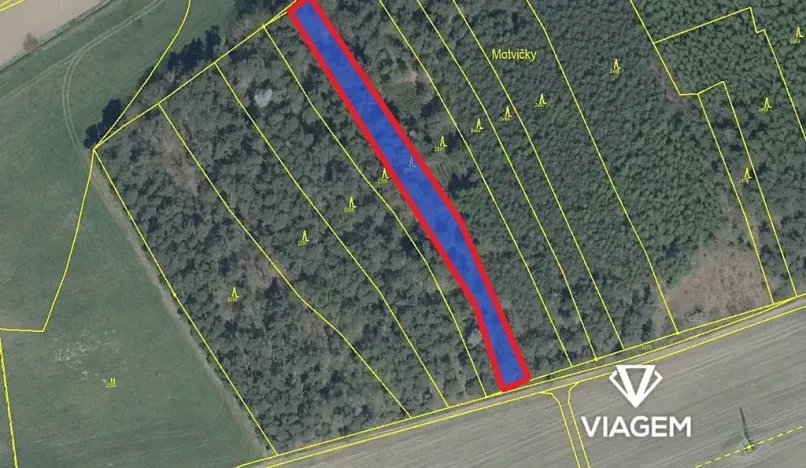 Prodej podílu lesa, Koloveč, 629 m2