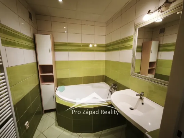 Pronájem bytu 2+kk, Plzeň, Čechova, 54 m2