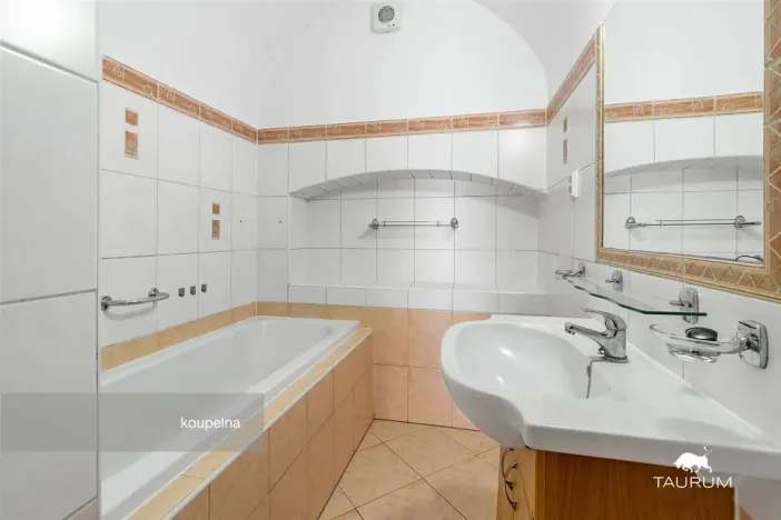 Prodej rodinného domu, Nečtiny - Čestětín, 719 m2