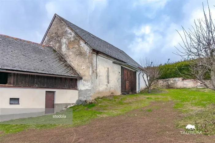 Prodej rodinného domu, Nečtiny - Čestětín, 719 m2