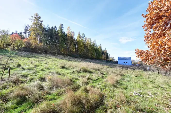 Prodej pozemku pro bydlení, Daleké Dušníky, 1217 m2