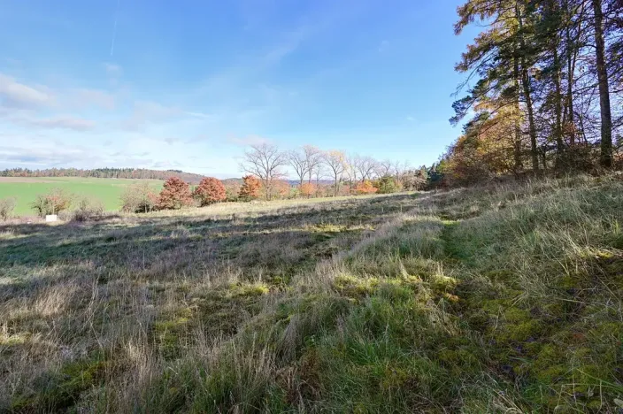 Prodej pozemku pro bydlení, Daleké Dušníky, 1217 m2