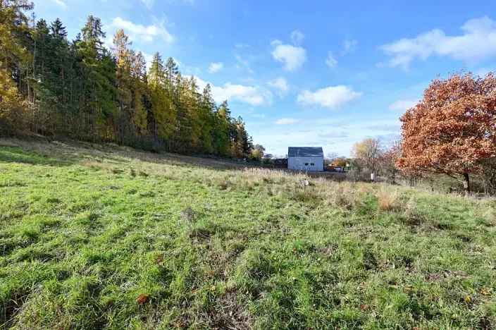 Prodej pozemku pro bydlení, Daleké Dušníky, 1217 m2