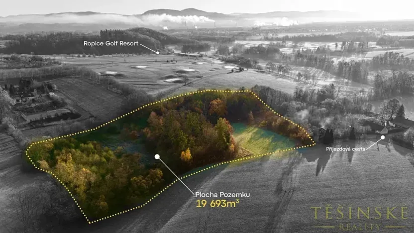 Prodej pole, Ropice, 19696 m2
