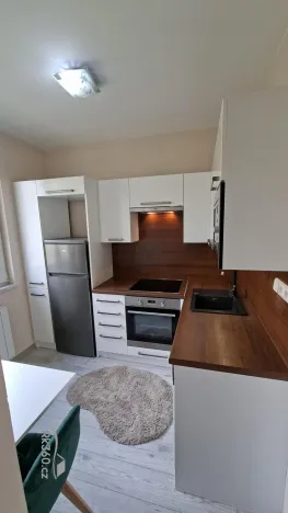 Prodej bytu 2+1, Frýdek-Místek - Frýdek, Jana Čapka, 45 m2