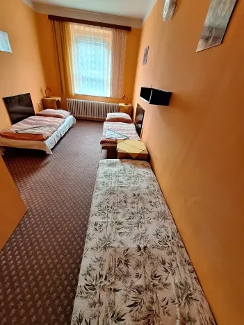 Prodej ubytování, Janské Lázně, Lázeňská, 1720 m2