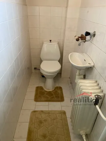 Prodej rodinného domu, Opava - Malé Hoštice, Slezská, 137 m2