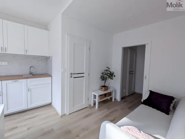 Pronájem bytu 2+kk, Duchcov, V Domkách, 36 m2