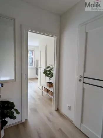 Pronájem bytu 2+kk, Duchcov, V Domkách, 36 m2