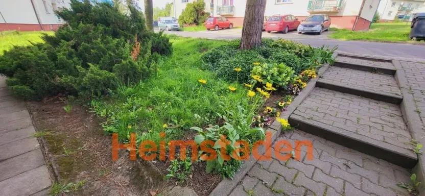 Pronájem bytu 2+1, Stonava, Hořany, 65 m2