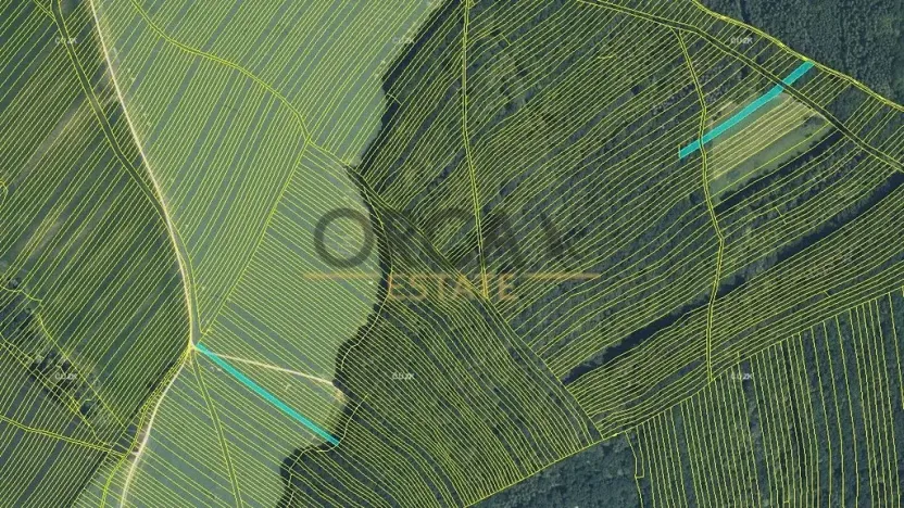 Prodej pole, Mistřice, 6356 m2