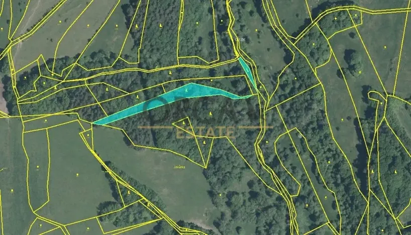 Prodej lesa, Pozlovice, 9893 m2