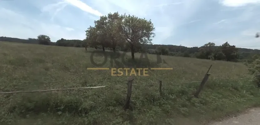 Prodej louky, Březnice, 839 m2