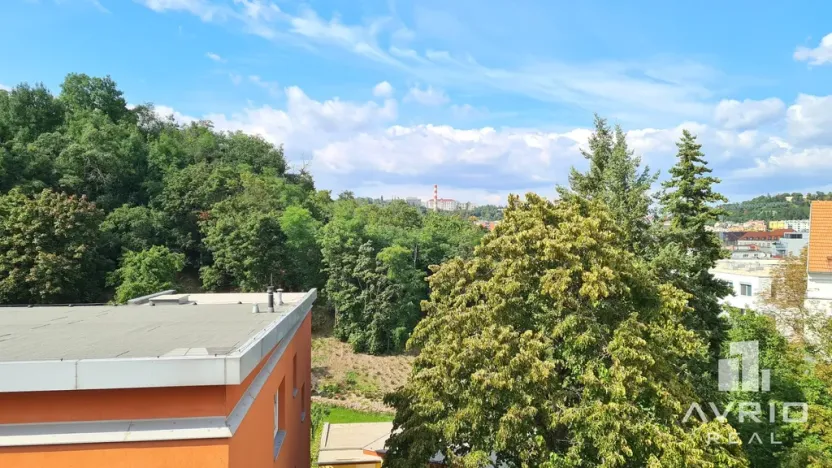 Pronájem bytu 3+1, Brno, Vinohrady, 116 m2