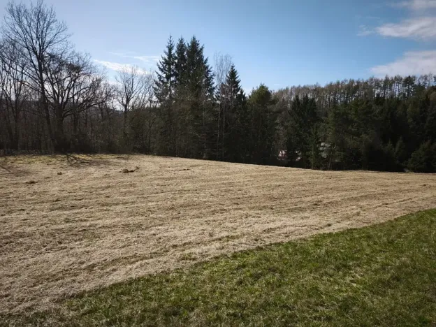 Prodej pozemku pro bydlení, Slapy, 2924 m2