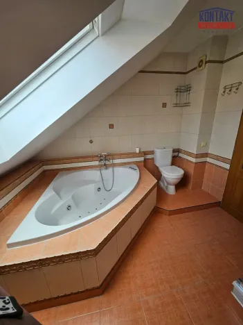 Pronájem bytu 3+kk, České Budějovice, Rudolfovská tř., 95 m2