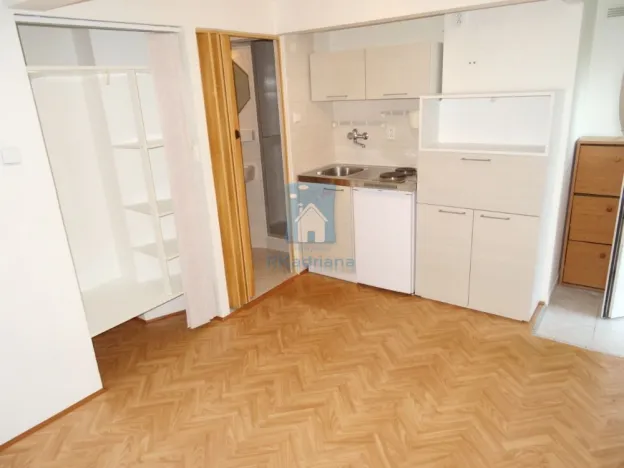 Pronájem bytu 1+kk, Praha, V rovinách, 15 m2