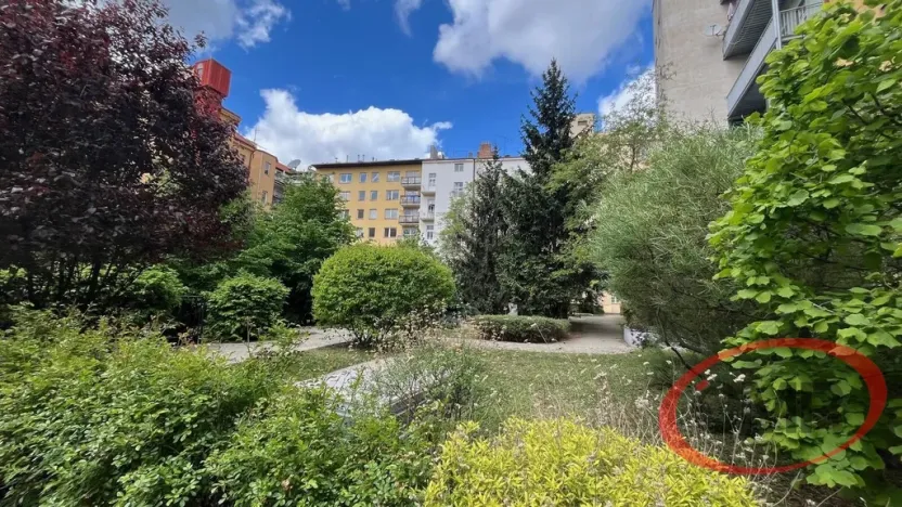 Pronájem kanceláře, Praha, Belgická, 160 m2