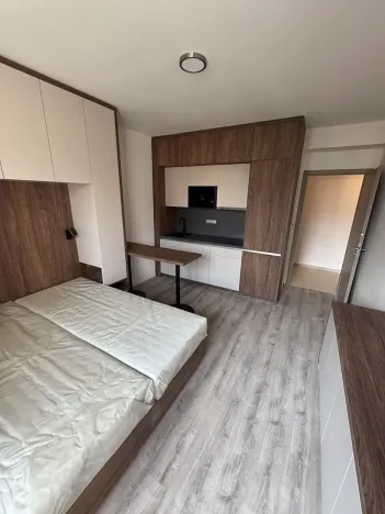 Pronájem pokoje, Praha - Michle, Na úlehli, 48 m2