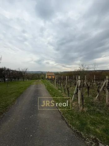 Prodej pozemku, Hroznová Lhota, 2997 m2