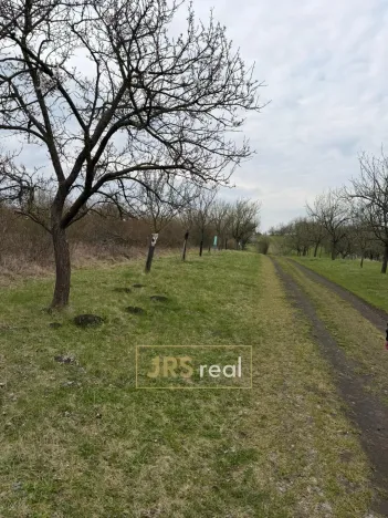 Prodej pozemku, Hroznová Lhota, 2997 m2