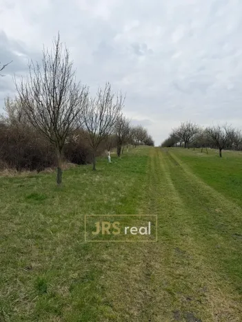 Prodej pozemku, Hroznová Lhota, 2997 m2