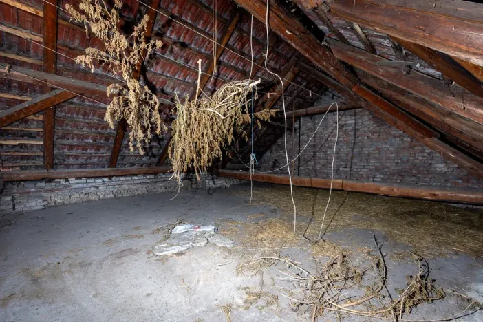 Prodej rodinného domu, Vyškov - Nouzka, Brněnská, 84 m2