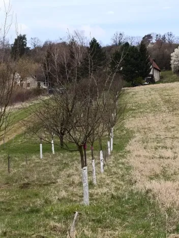 Prodej zahrady, Uherský Brod, 899 m2