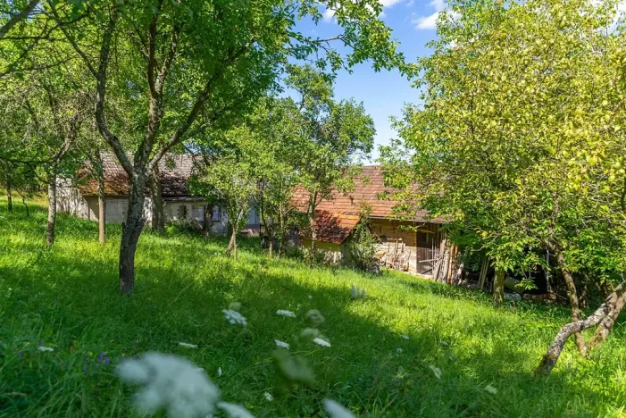 Prodej zemědělské usedlosti, Lípa, 1492 m2