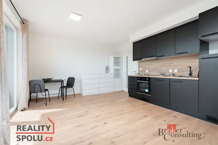 Pronájem bytu 1+kk, Heřmanova Huť - Vlkýš, U Pondu, 35 m2