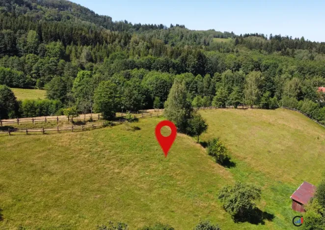 Prodej pozemku pro bydlení, Olešnice v Orlických horách, 4823 m2