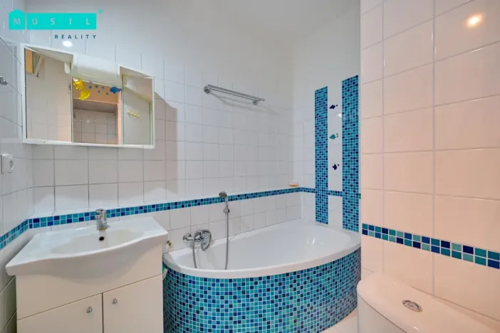 Pronájem bytu 2+kk, Olomouc - Neředín, Jílová, 40 m2