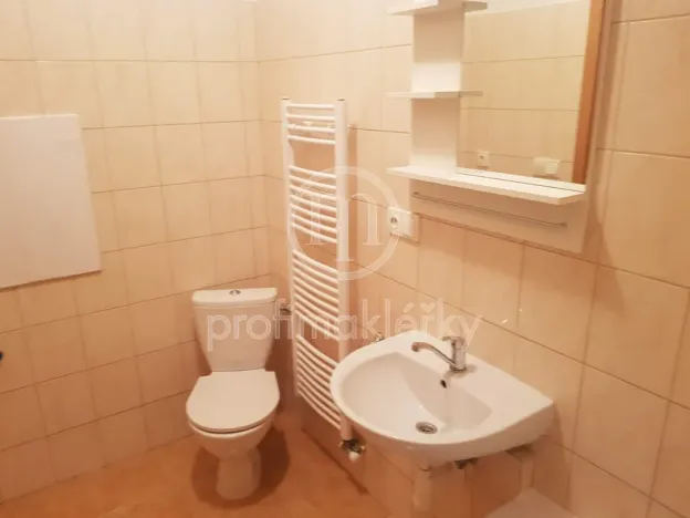 Pronájem bytu 2+kk, Ivančice, Břízová, 47 m2