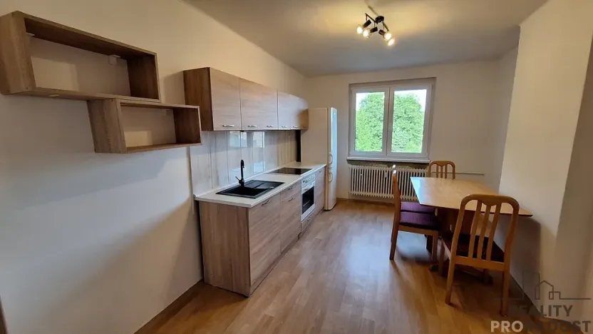 Pronájem bytu 2+1, Ústí nad Labem, Elišky Krásnohorské, 80 m2