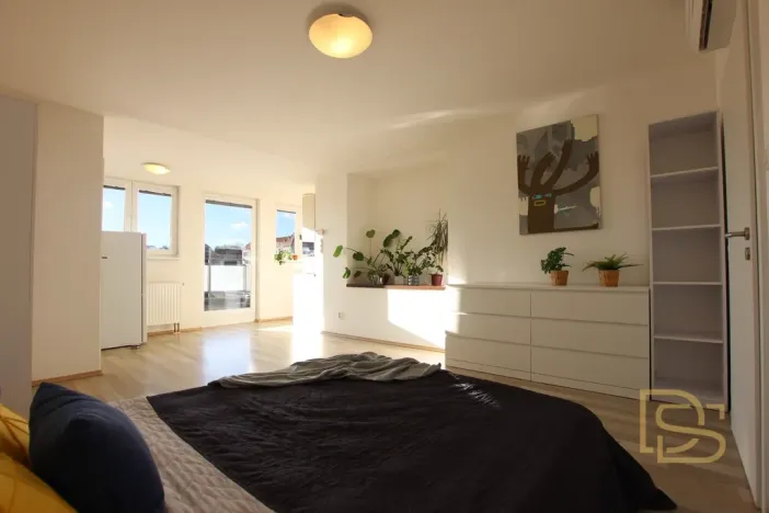 Pronájem bytu 2+kk, Brno - Veveří, Veveří, 48 m2