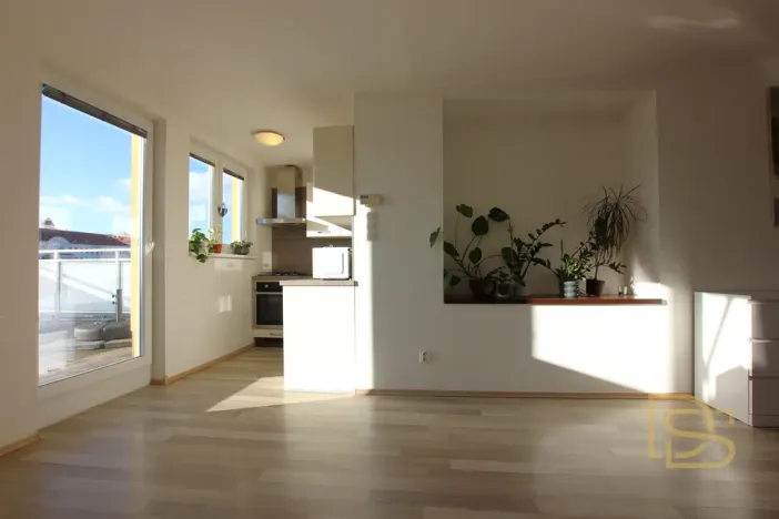 Pronájem bytu 2+kk, Brno - Veveří, Veveří, 48 m2